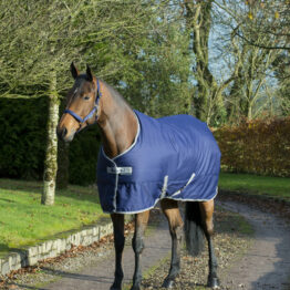 16 November 2017
Bucas November 2017 
Photography by  Gerard McCarthy 087 8537228  
more info contact